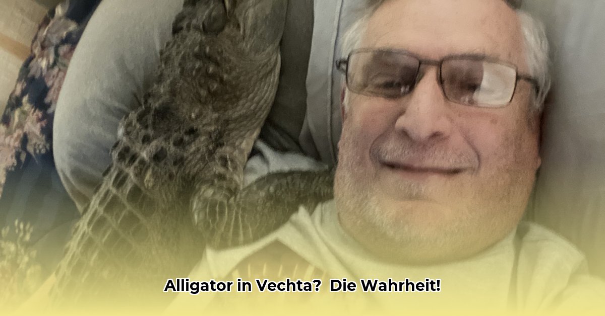 alligator-vechta-video